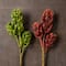 Assorted Succulent Pick with 3 Heads By Ashland&#xAE;